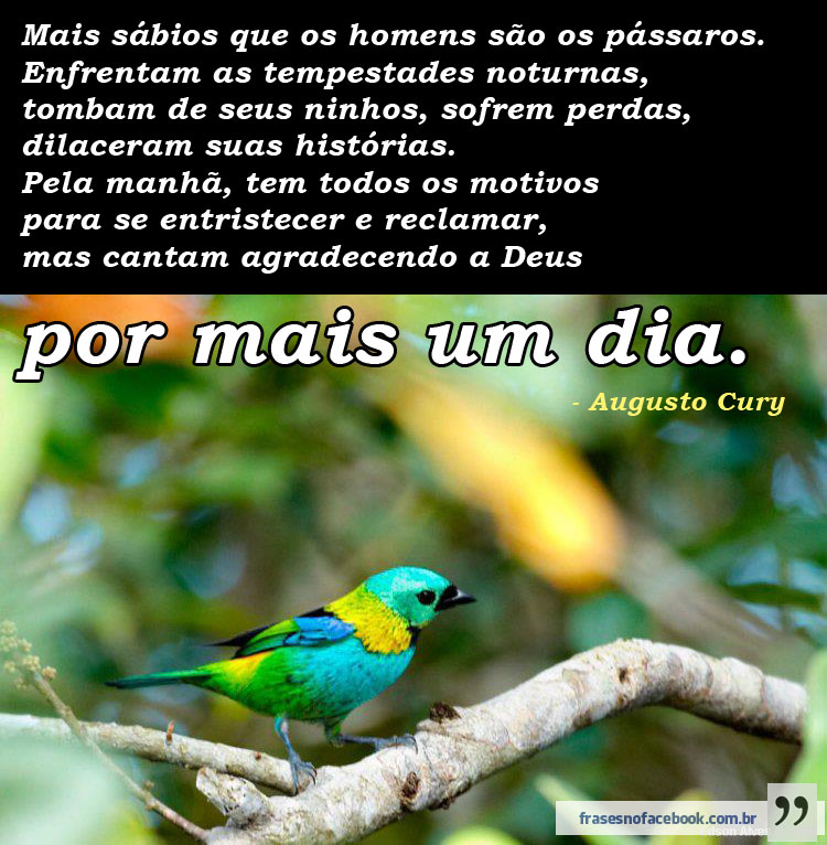 Augusto Cury - Imagens para Facebook e blogs